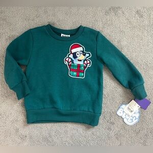 Bluey Christmas Crewneck Sweatshirt Fleece Dark Green